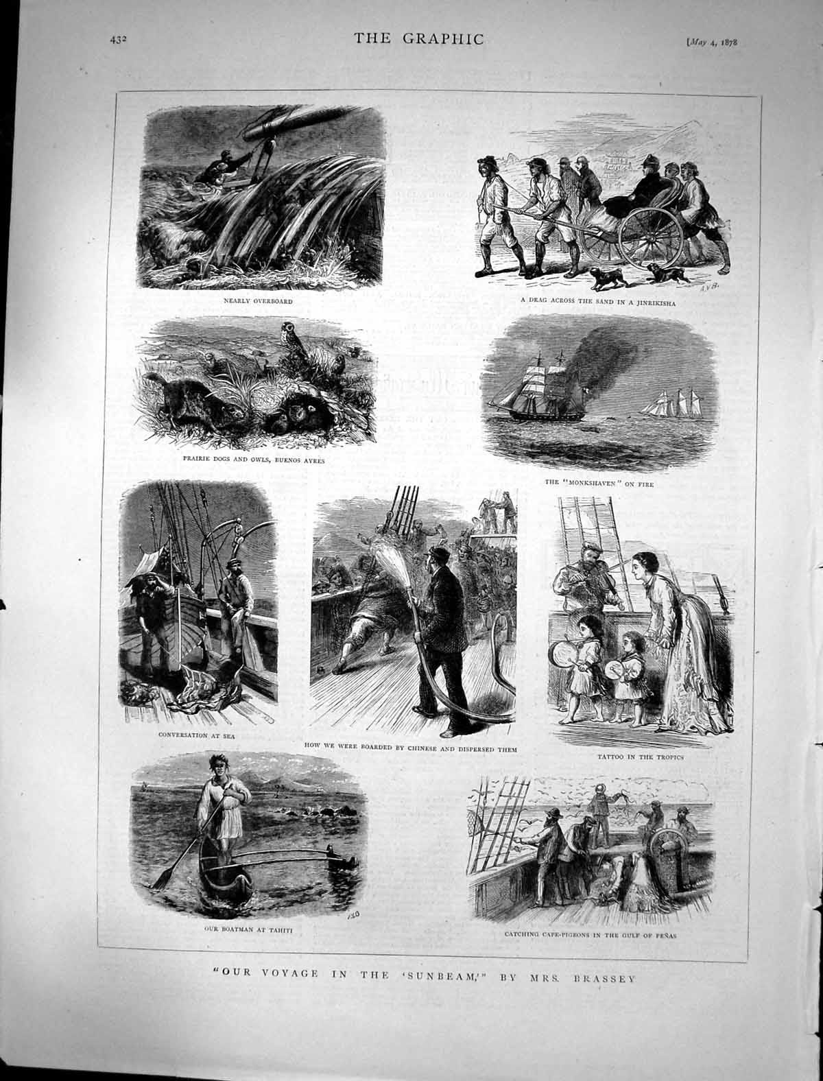 Old 1878 Voyage Sunbeam Ship Mrs Brassey Cape Pigeons Prairie Dogs Bu Victorian