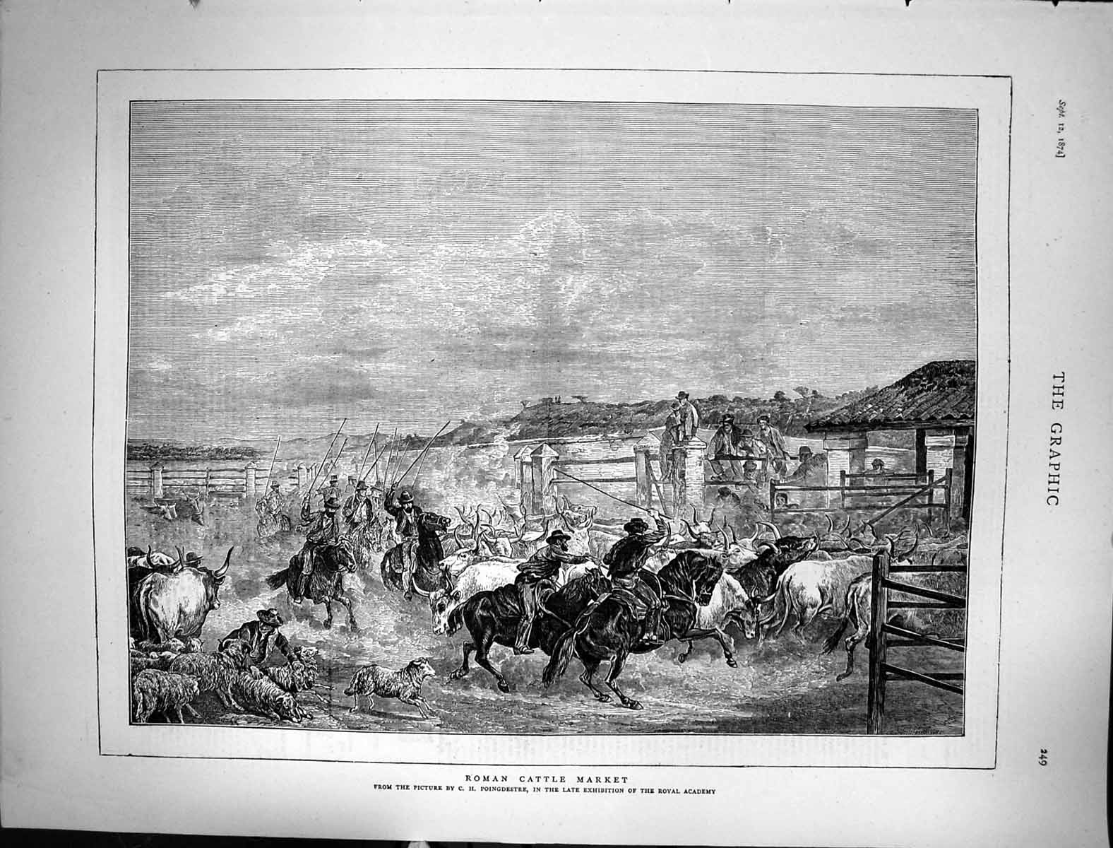 Original Old Antique Print 1874 Roman Cattle Market Horses Cowboys Poingdestre