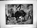 Old Antique Print Harry Heathcote Gangoil Boscobel Fall Horse Branch 1873 19th