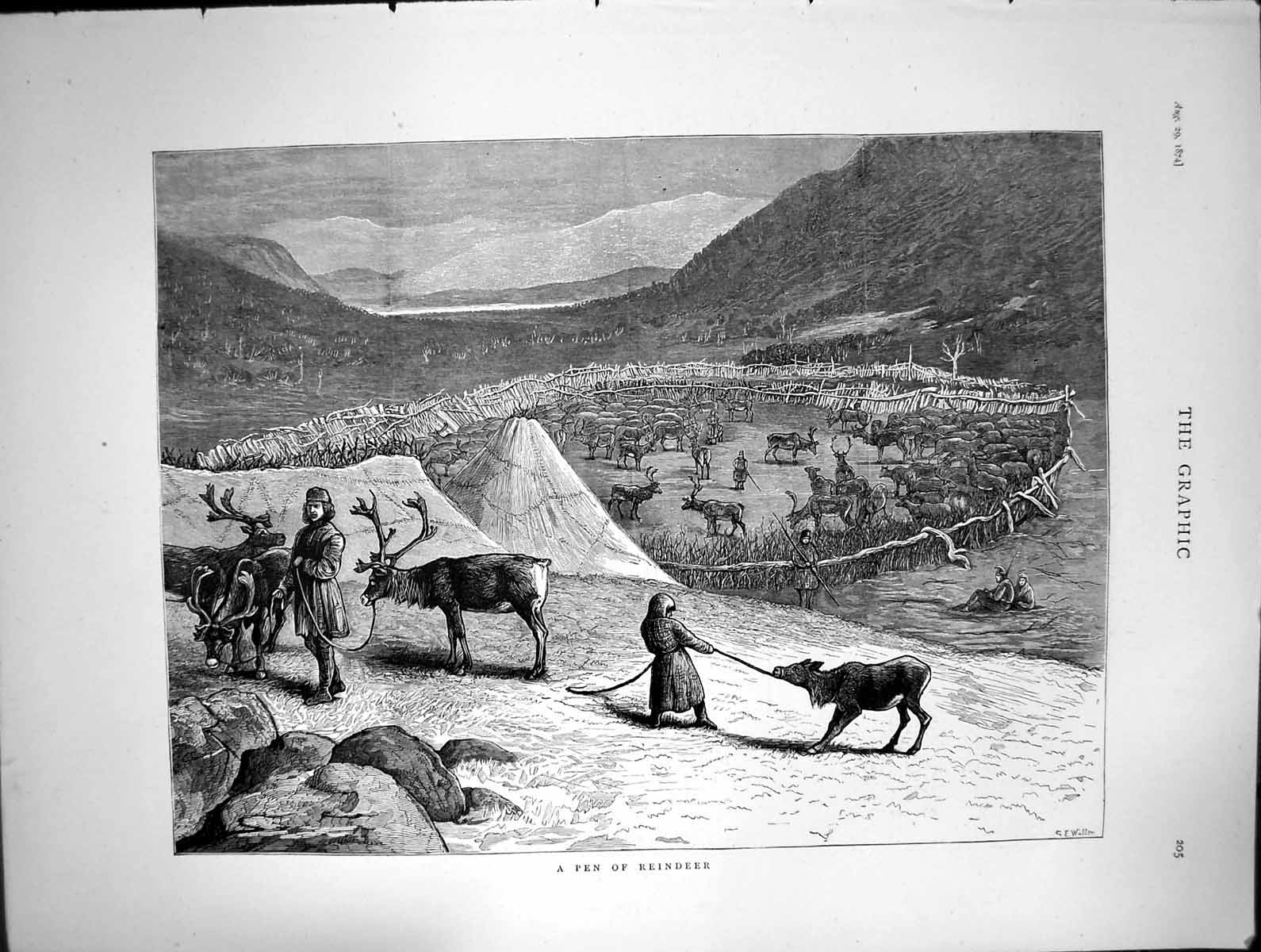 Original Old Antique Print Pen Reindeer Leading On Rope Antlers 1874 Victorian
