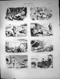 Antique Print Moors Scotch Express Carriage 12Th Bothy Deer Drive Shot 1873