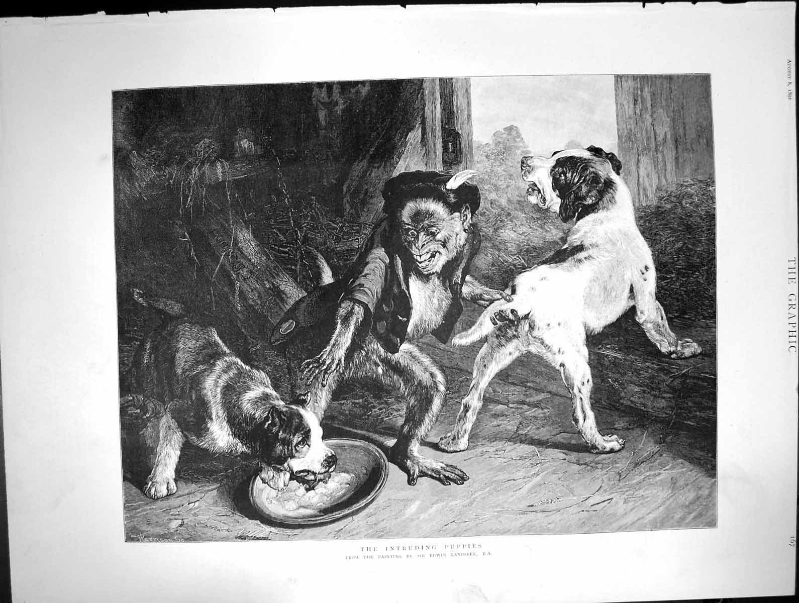 Antique Old Print Intruding Puppies Edwin Landseer Stealing Food Bowl 1891 19th