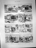 Antique Old Print Experiences Amateur Photographer Burma Carriage Stuck 1886