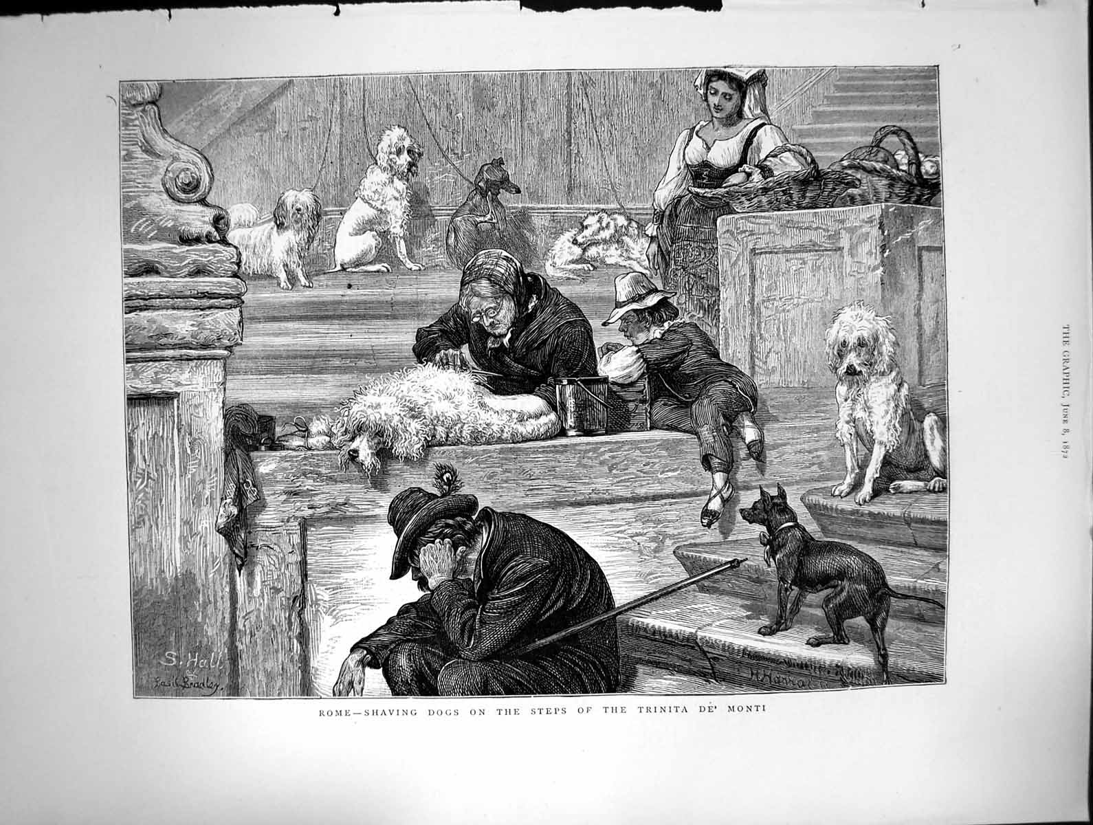 Original Old Antique Print Rome Shaving Dogs Steps Trinita De Monti 1872 19th