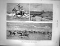 Old 1883 Rebellion Soudan Kordofan Army Omdurman Khartoum Master Slav Victorian