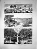 Antique Print 1878 Africa Bustamente Homestead River GThomas Island Buffalo