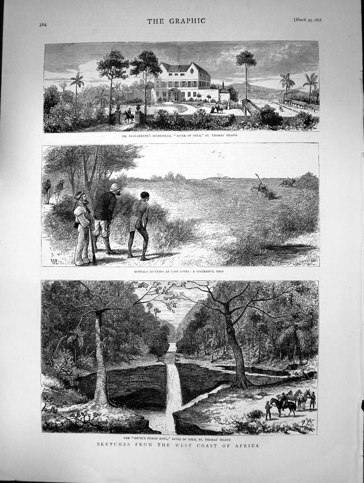 Antique Print 1878 Africa Bustamente Homestead River GThomas Island Buffalo