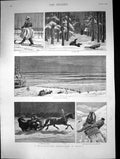 Old Bear Hunting Expedition Russia Count Munster Sport Moonlight Driv