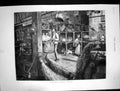 Old Antique Print 1876 Interior Leadenhall Poultry Market Birds Peacocks 19th