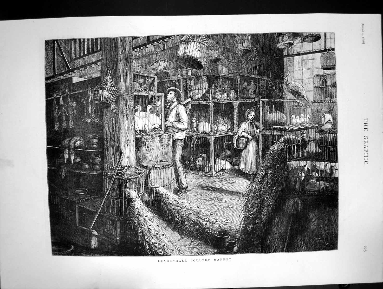 Old Antique Print 1876 Interior Leadenhall Poultry Market Birds Peacocks 19th