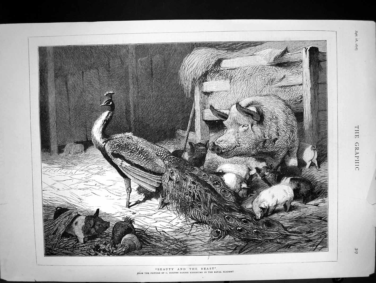 Old 1878 Beauty And Beast Farmyard Scene Pigs Peacock Bird Burton Bar Victorian