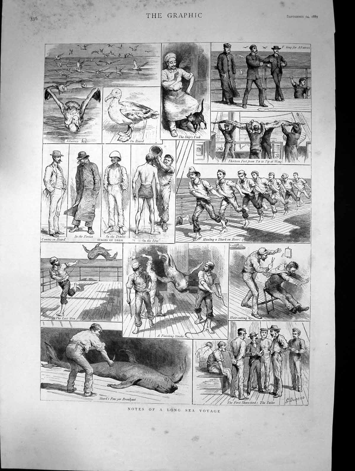 Old 1889 Long Seal Voyage Sailors Navy Albatross Birds Shark Ship Dec Victorian