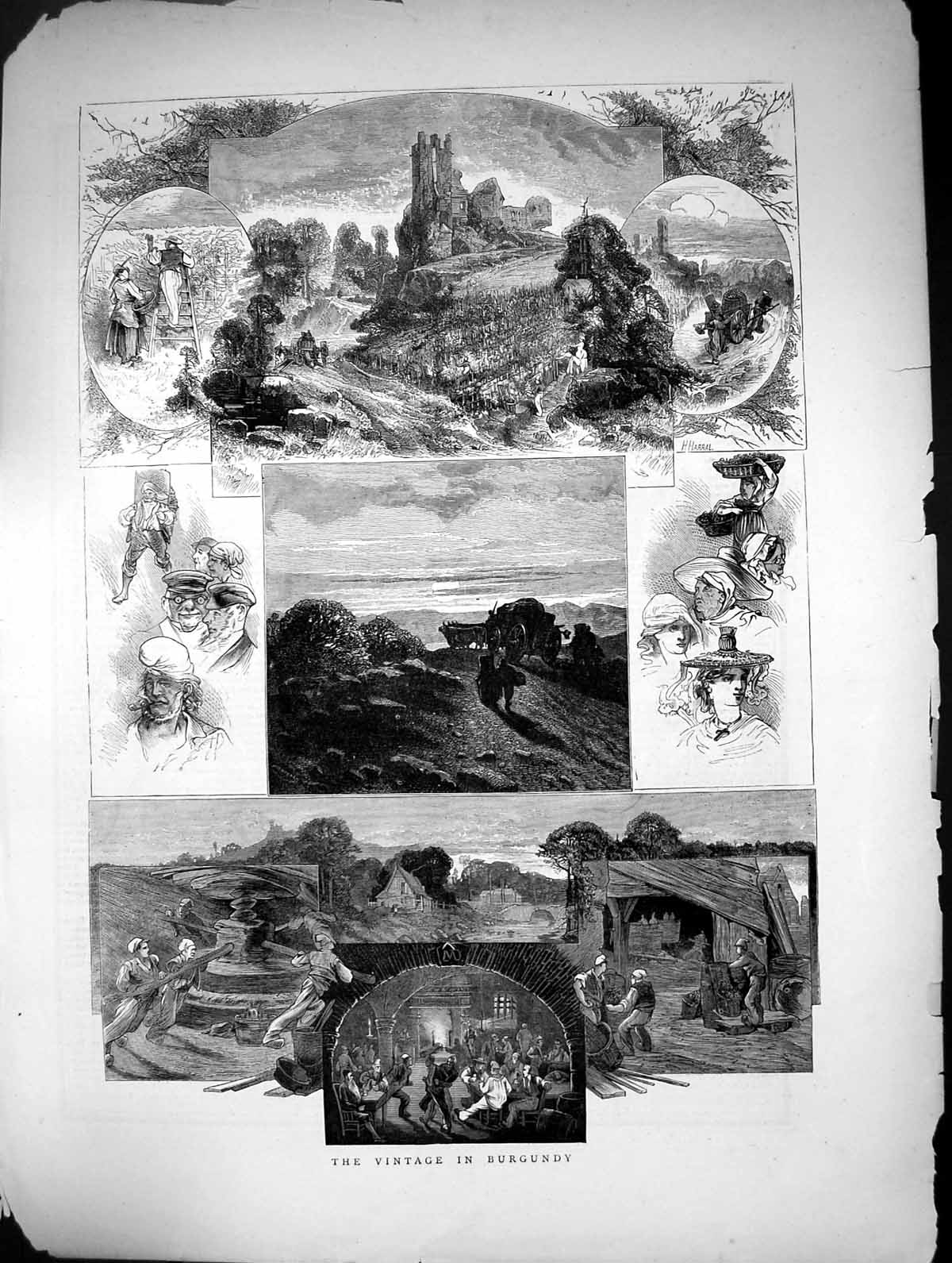 Original Old Antique Print 1871 Burgundy Wine Vinery 19th Century