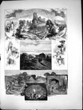 Original Old Antique Print 1871 Burgundy Wine Vinery Grapes 19th