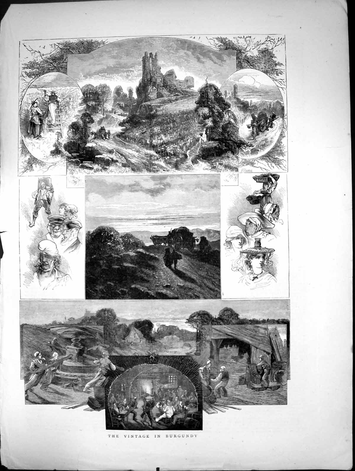 Original Old Antique Print 1871 Burgundy Wine Vinery Grapes 19th
