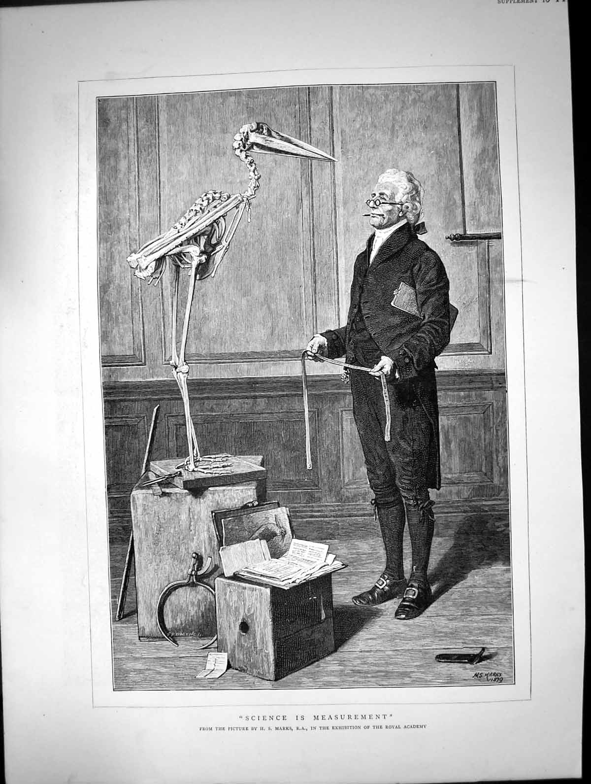 Old Science Measurement Scientist Skeleton Birds Marks Royal Academy