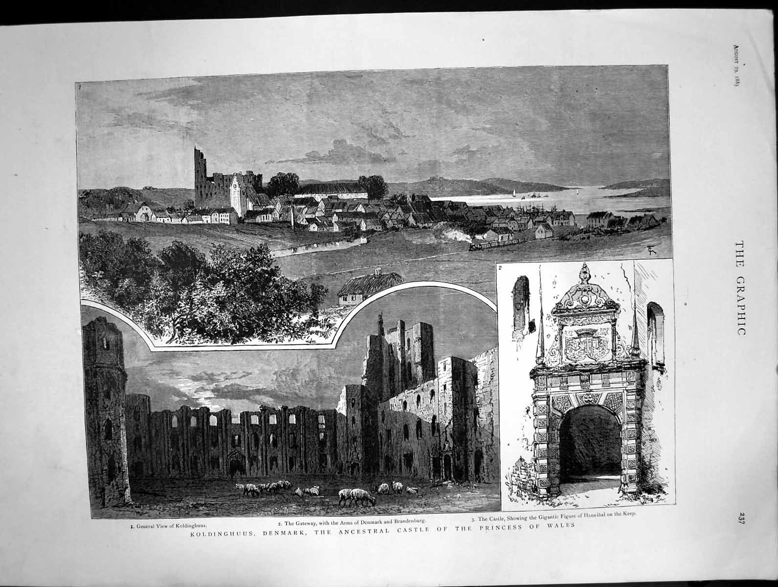Old Print 1885 Kinghuus Denmark Ancestral Castle Princess Wales Brandenb 19th