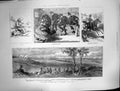 Old 1872 Sir Alfred Horsford Launceston Heath Down Autumn Manoeuvres Victorian