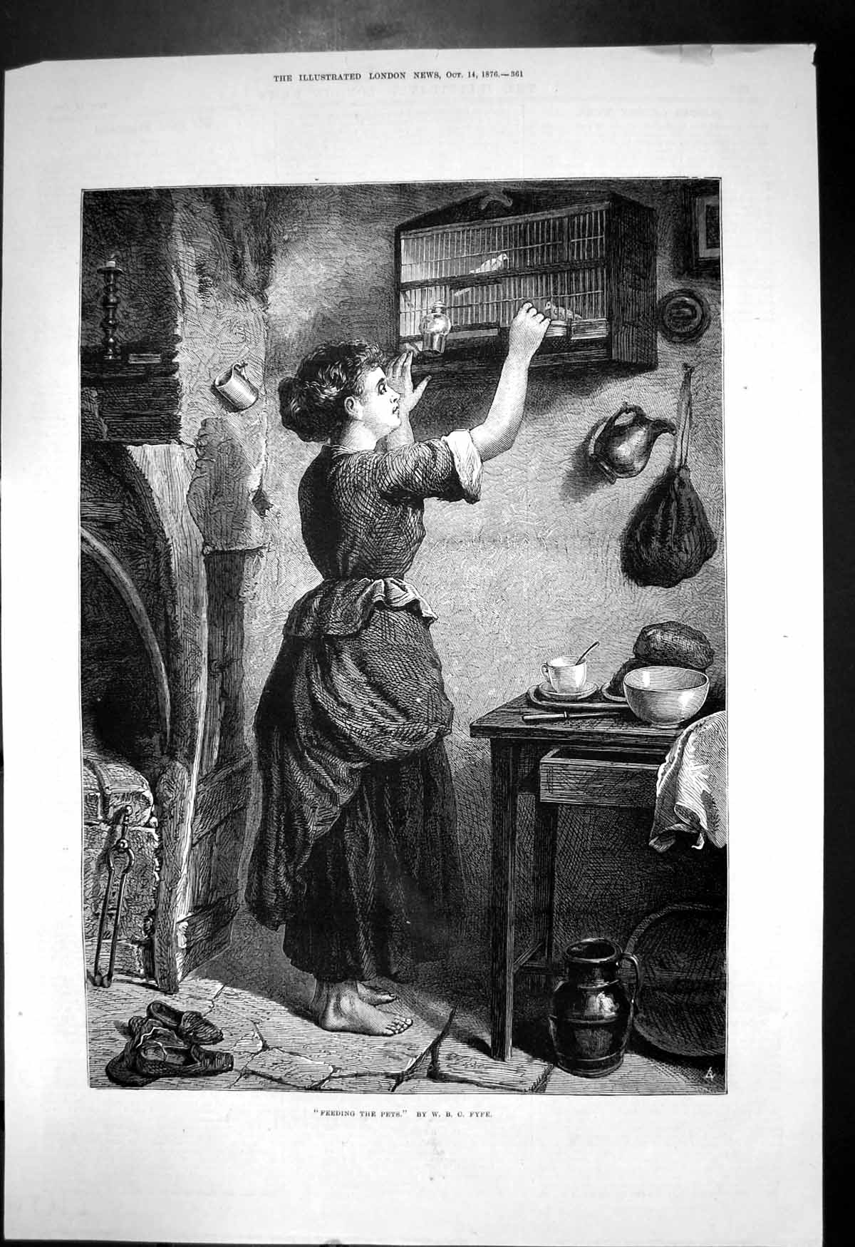 Antique Old Print Feeding Pets W Fyfe Woman Kitchen Feeding Bird Cage 1876 19th