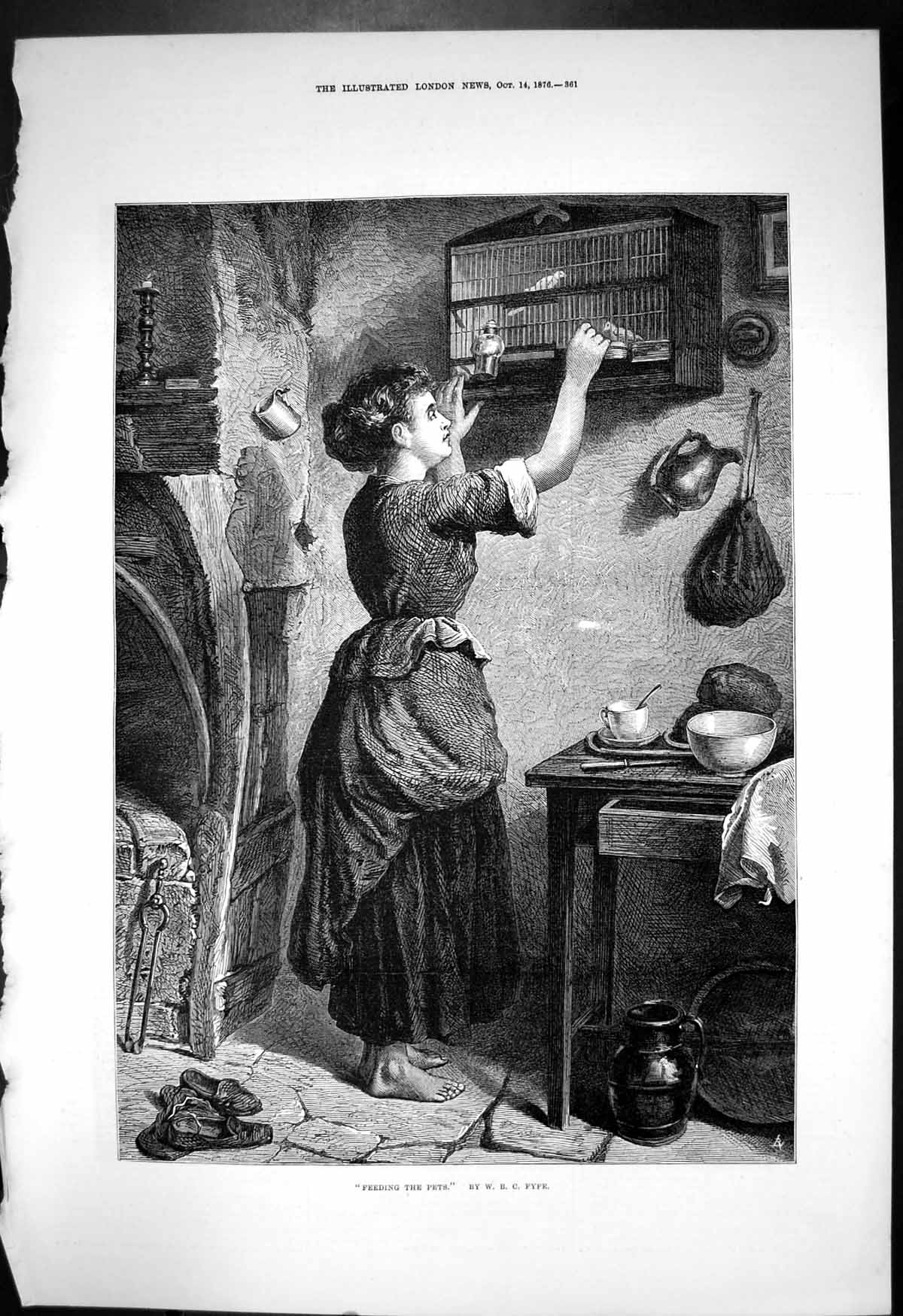 Old Feeding Pets W Fyfe Birds In Cage Woman Feeding Them Kitchen 1876 Victorian