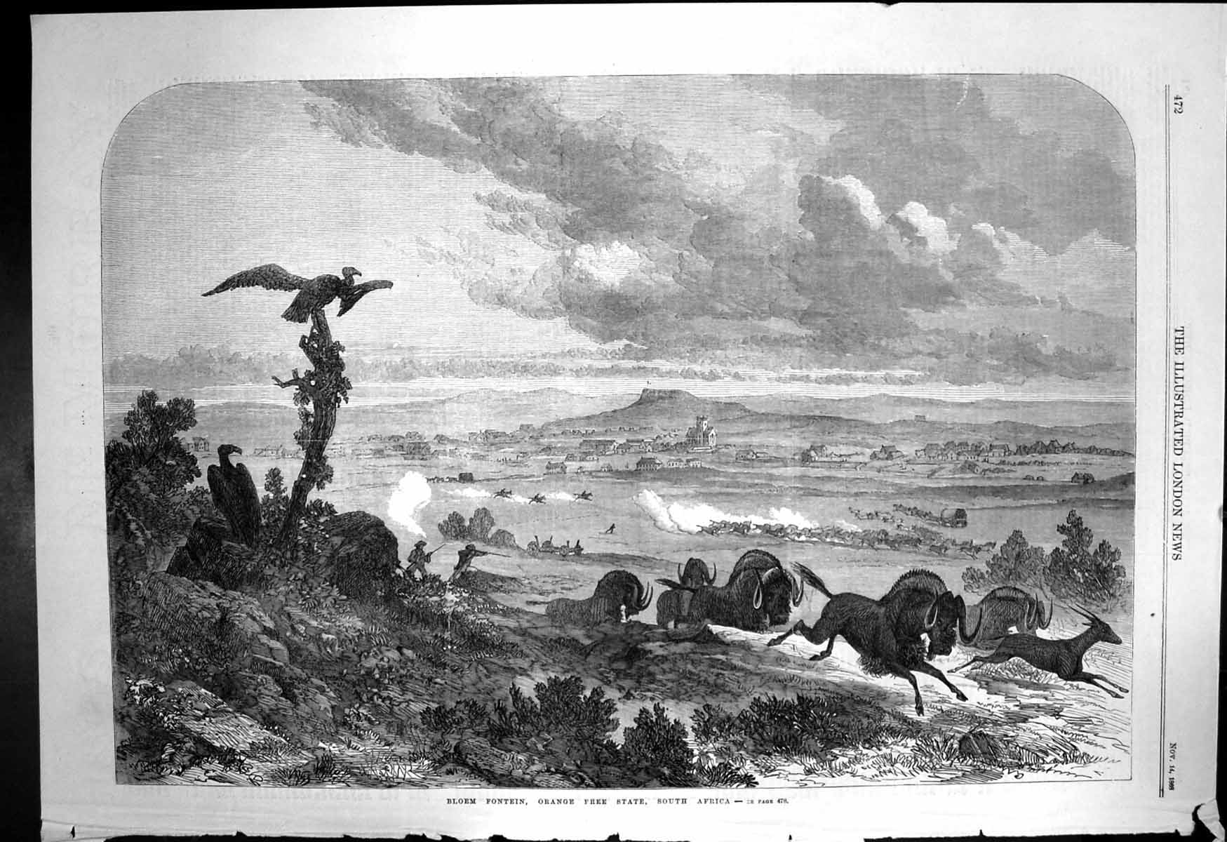 Original Old Antique Print Bloem Fontein Orange Free State South Africa 1868