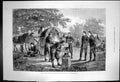 Original Old Antique Print Blacksmiths Forge Turkish Camp Near Dulcigno 1880