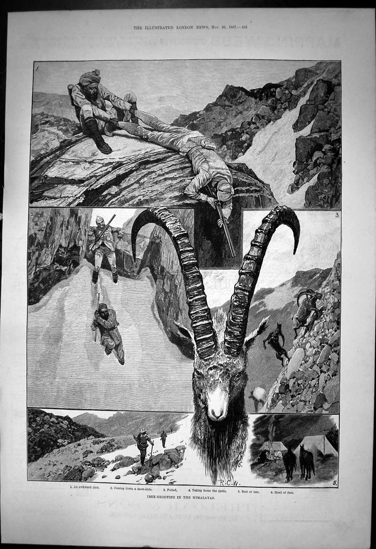 Old Print Ibex Shooting Himalayas Snow Slide Taking Home Spoils Head 1887 19th