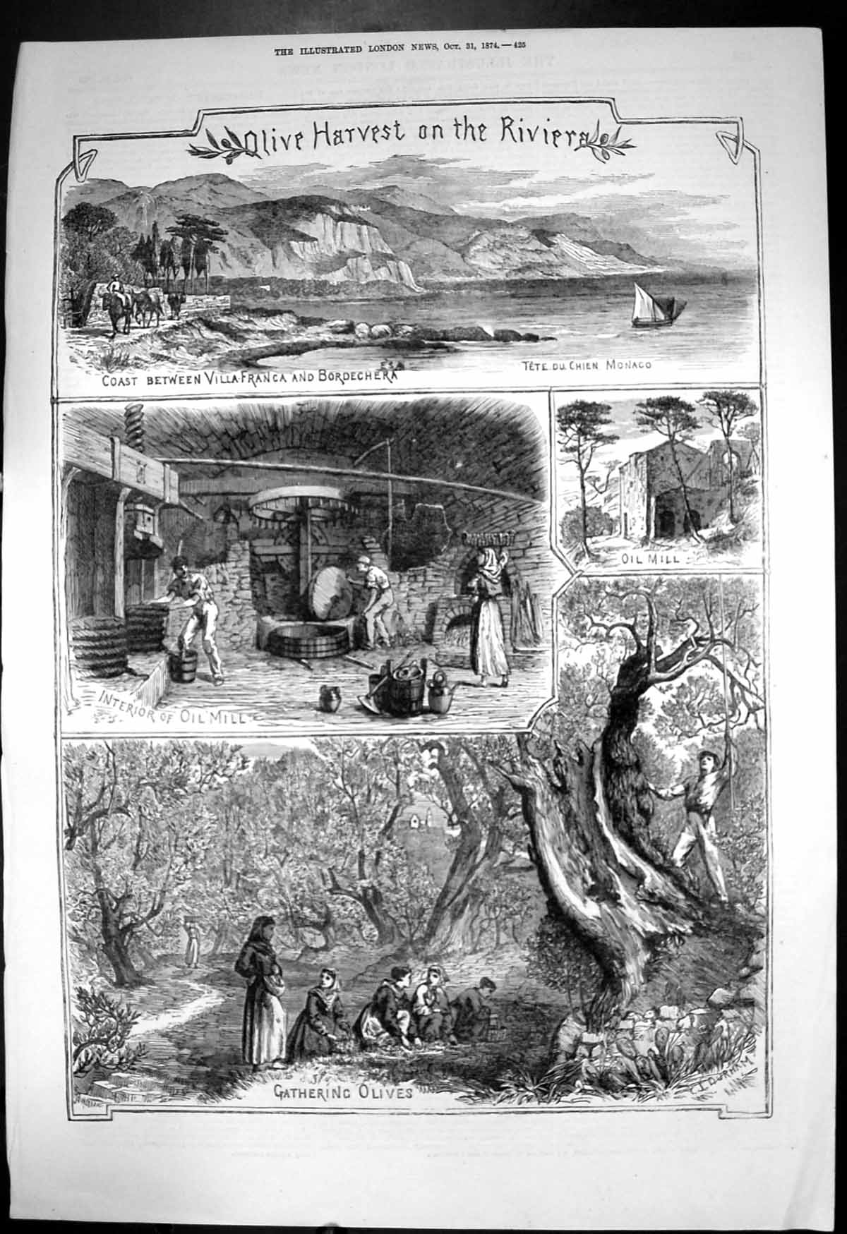 Old Olive Harvest Riviera Coast Villa Franca Bordechera Oil Mill 1874 Victorian