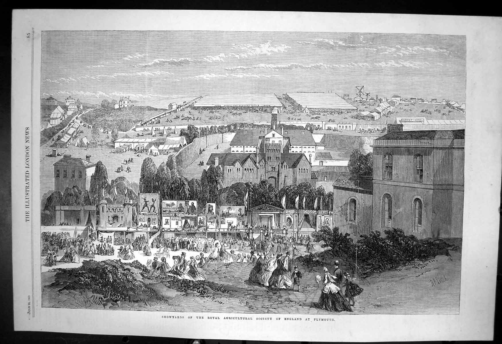Antique Old Print Royal Agricultural Society England Showyards Plymouth 1865