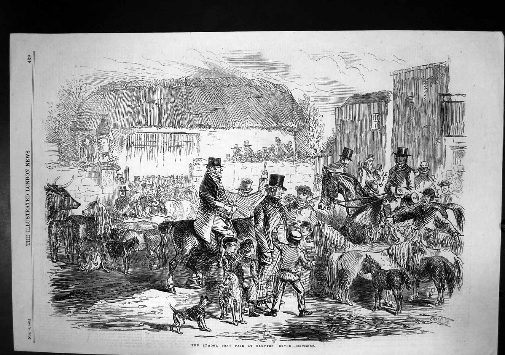 Original Old Antique Print Exmoor Pony Fair Bampton Devon Horses Ponies 1860
