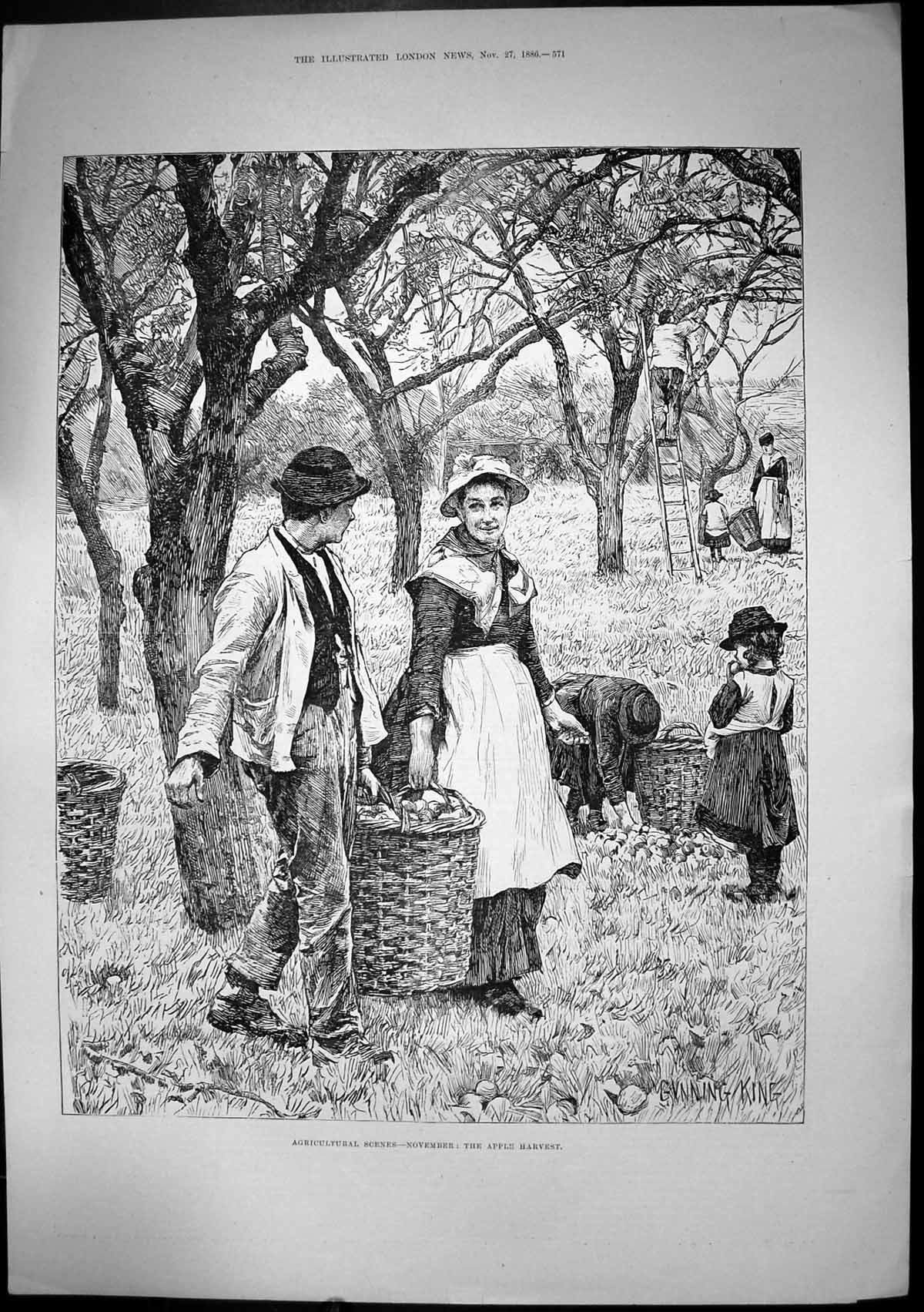 Old Antique Print Agricultural Scene November Apple Harvest Baskets 1886 19th