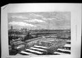 Old Antique Print Royal Agricultural Society Meeting Wolverhampton 1871 19th