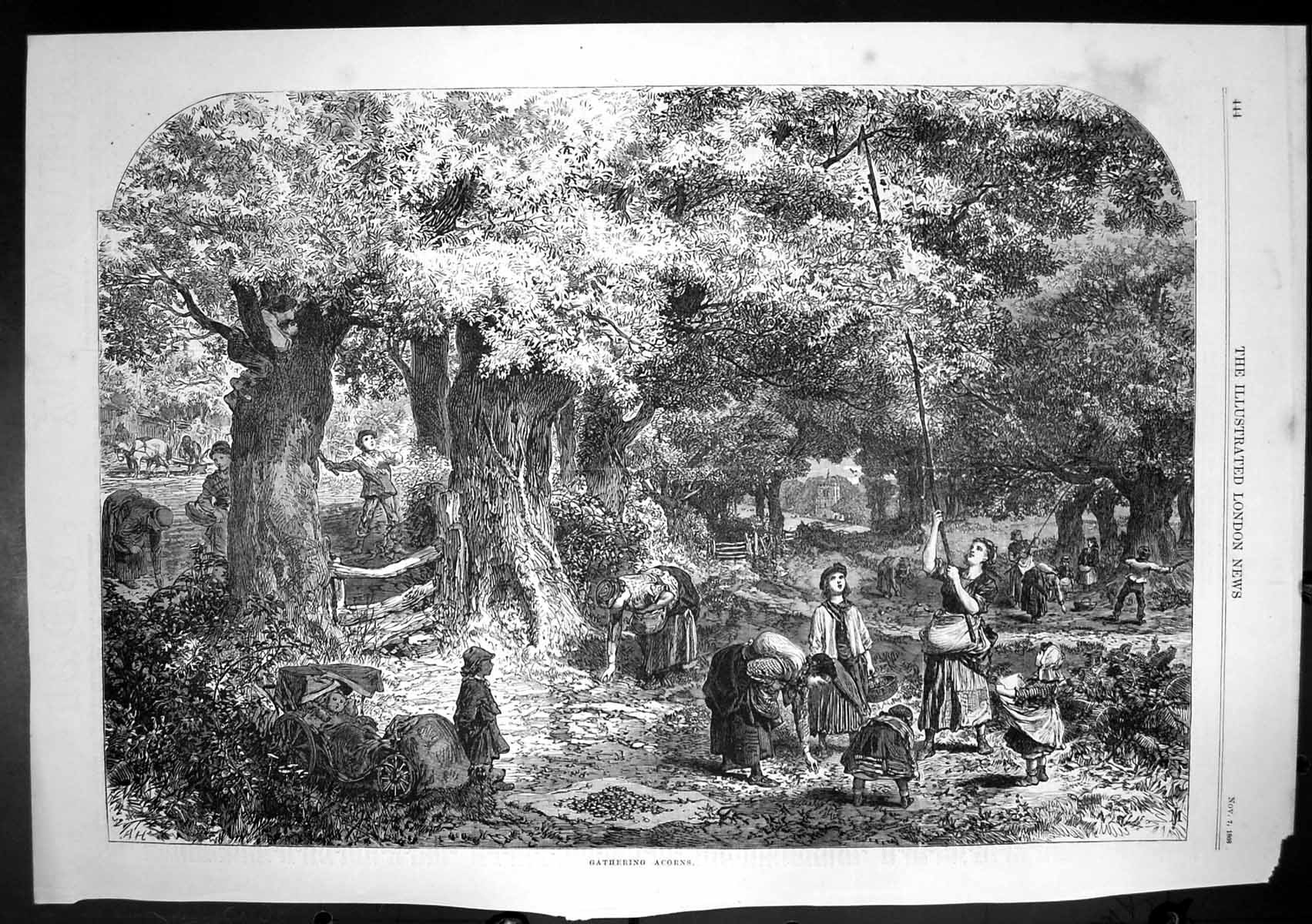 Antique Old Print Gathering Acorns Woodland Scene Women Children Aprons 1868