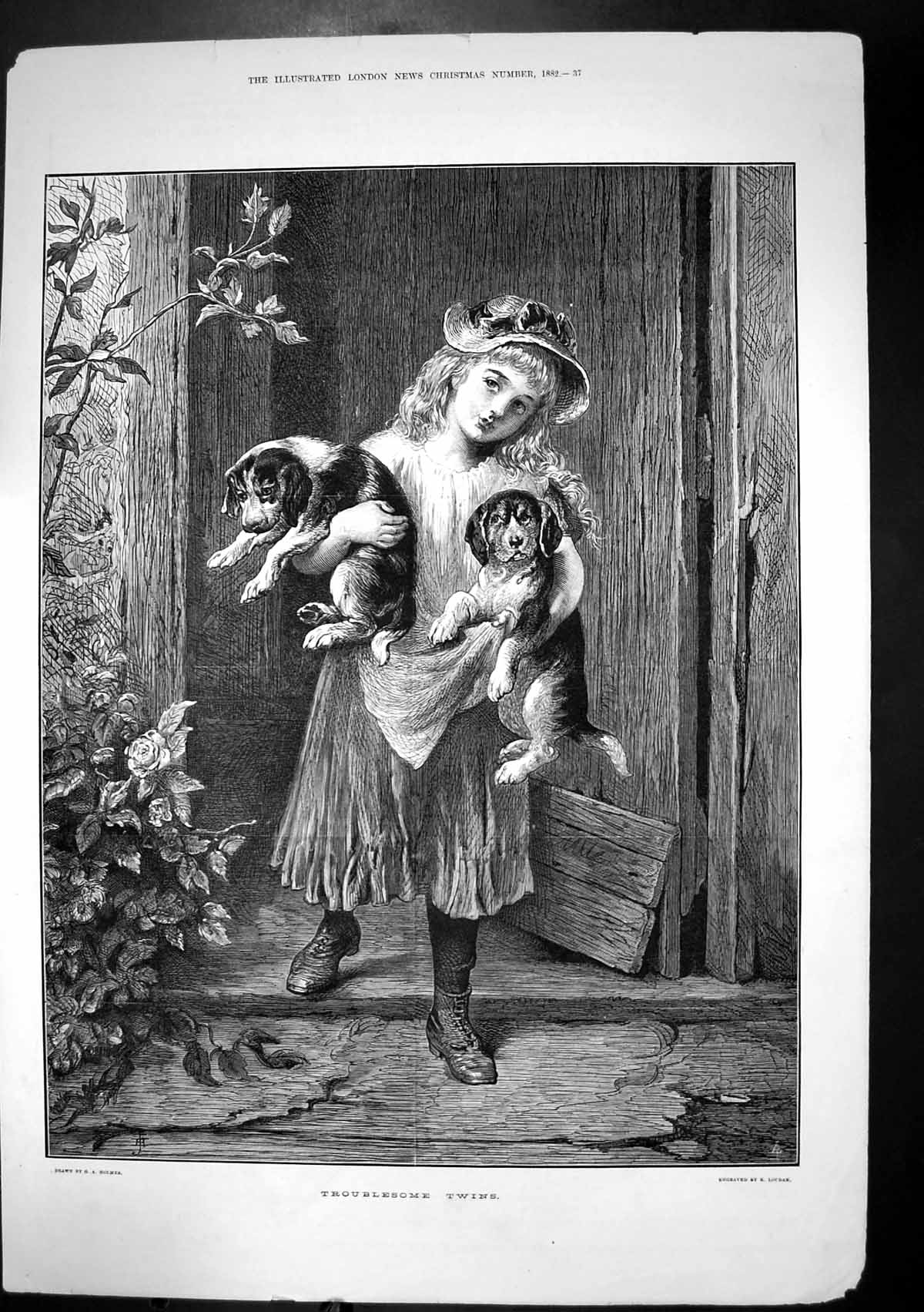 Original Old Antique Print Troublesome Twins Girl Hing Two Puppies 1882 19th