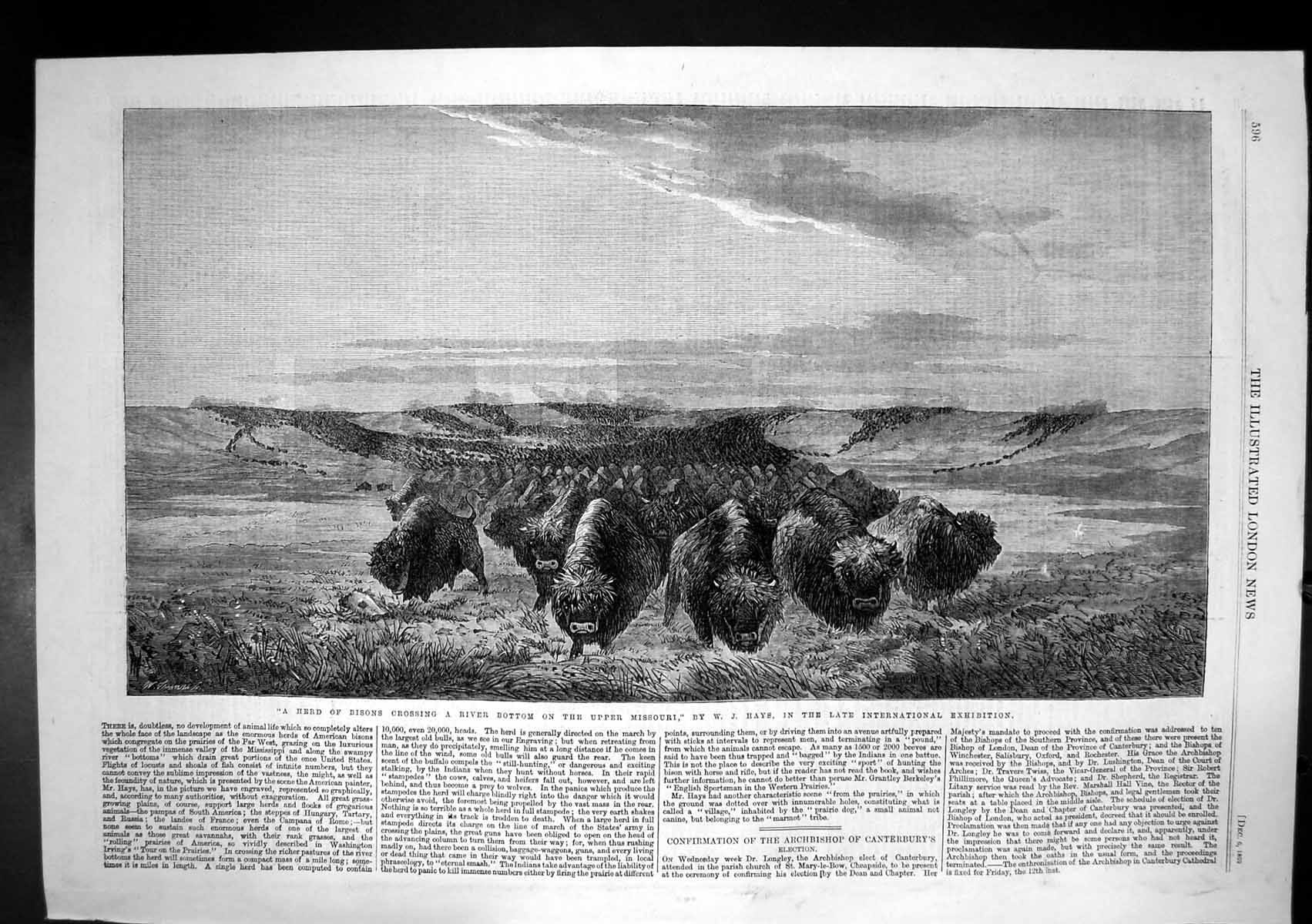 Old Antique Print Herd Bisons Crossing River Bottom Upper Missouri 1862 19th