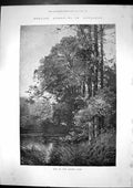 Original Old Antique Print English Homes No 1X Longleat End Lower Lake 1887