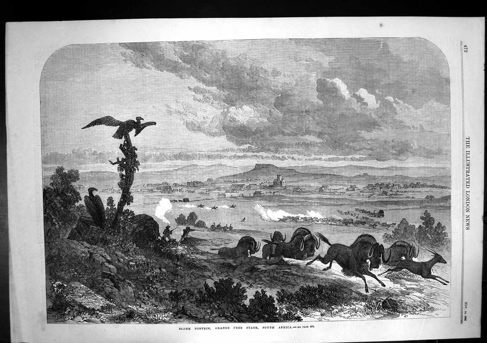 Original Old Antique Print Bloem Fontein Orange Free State South Africa 1868