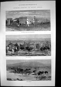 Antique Old Print Ostrich Farming South Africa Heatherton Towers Birds 1878
