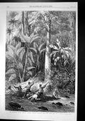 Antique Print Floating Down River Rama Raft Nicaragua Central America 1867 19th