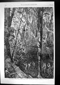 Antique Old Print Cutting Road Lake Nicaragua To Atlantic Railway Survey 1867