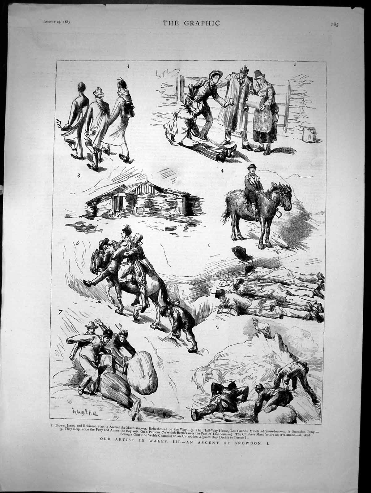 Antique Old Print Our Artist In Wales An Ascent Snowdon Mountain Pony 1883 19th