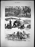 Antique Old Print Volunteers At Aldershot Siers Camp Artillery Forest 1883 19th