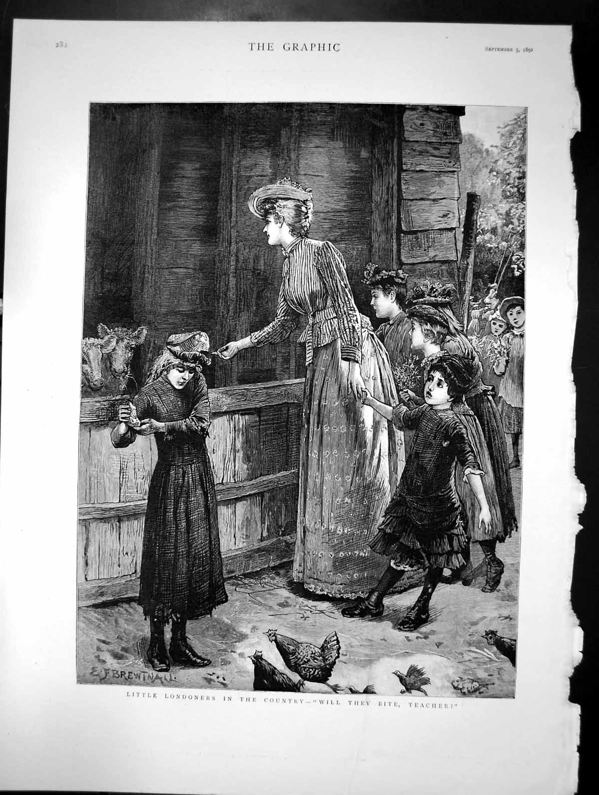 Old Print Little Londoners In Country Will They Bite Teacher Sketch 1891 19th