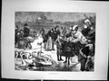 Antique Print Frozen In Ice Swan Lakes Rw Macbeth Sketch Feeding Birds 1870