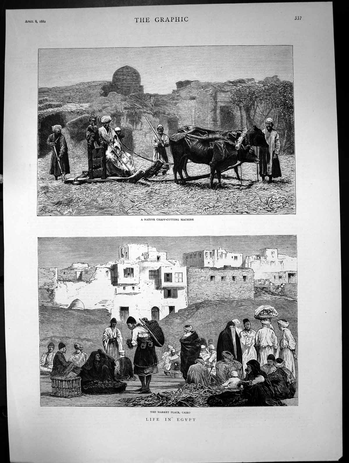 Old Life In Egypt Market Place Cairo Native Chaffcutting Machine 1882 Victorian