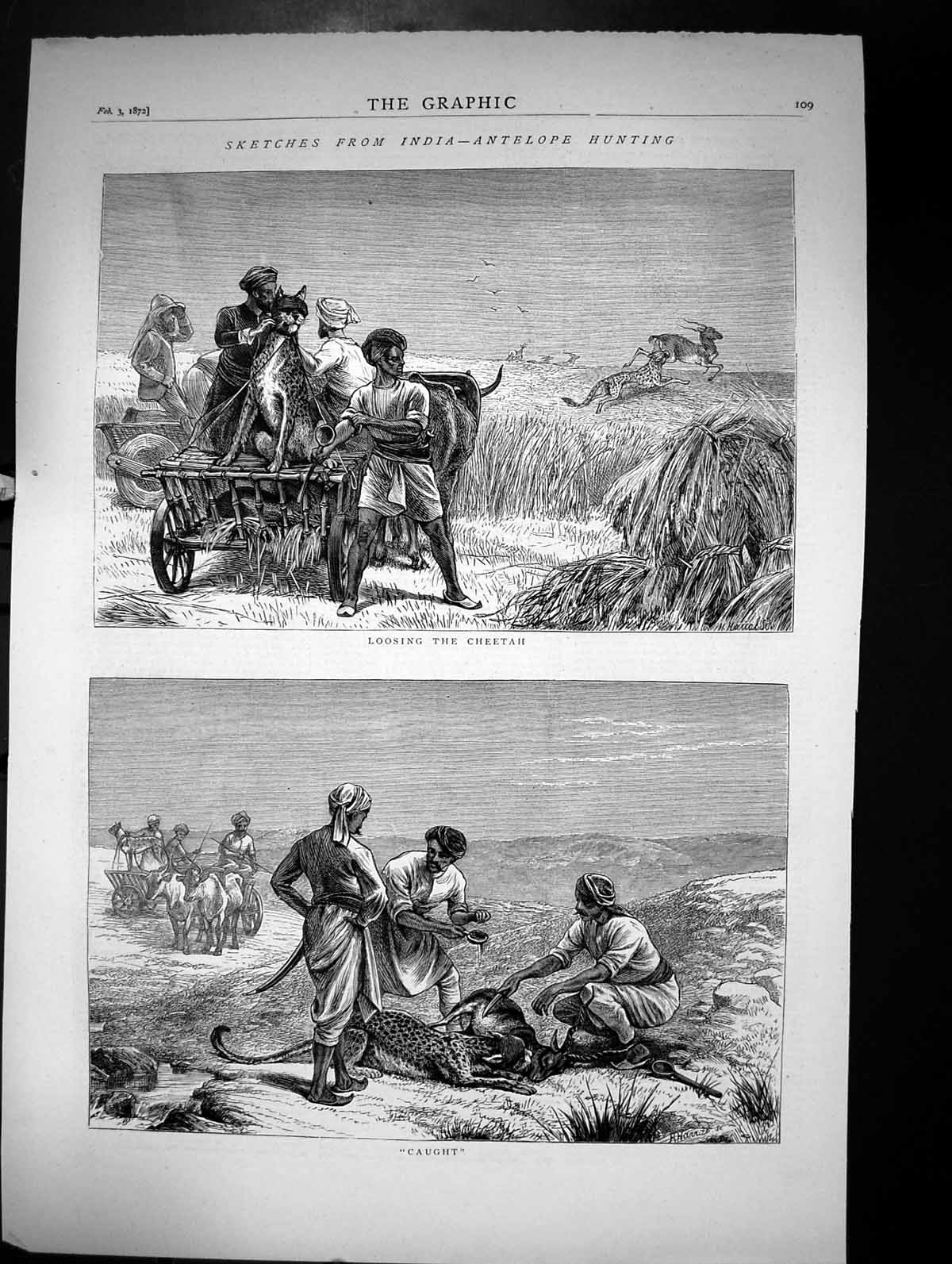 Old Sketches From India-Antelope Hunting Loosing Cheetah Caught 1872 Victorian