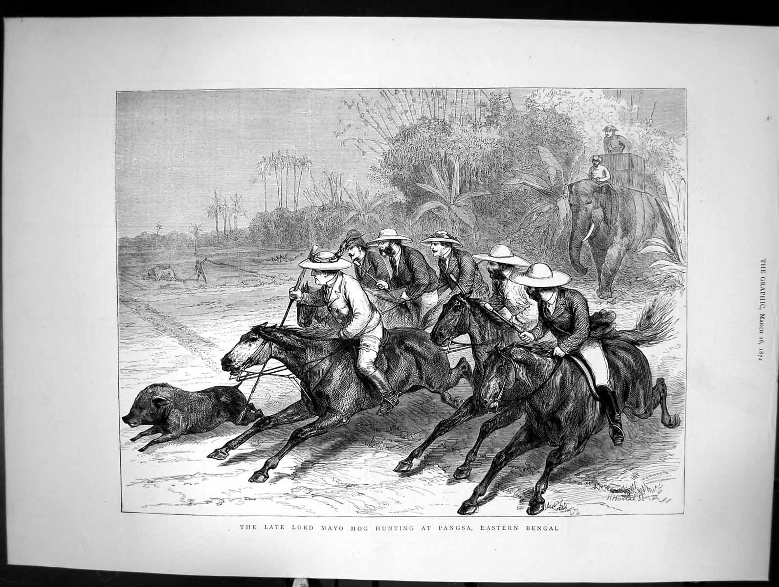 Antique Print The Late Lord Mayo Hog Hunting At Pangsa Eastern Bengal 1872 19th