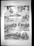 Antique Old Print The Modus Operandi An Indian Burglar Sketches Disguise 1893