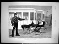 Antique Print The Prince Wales'S Indian Presents Antelopes At Exercise 1876
