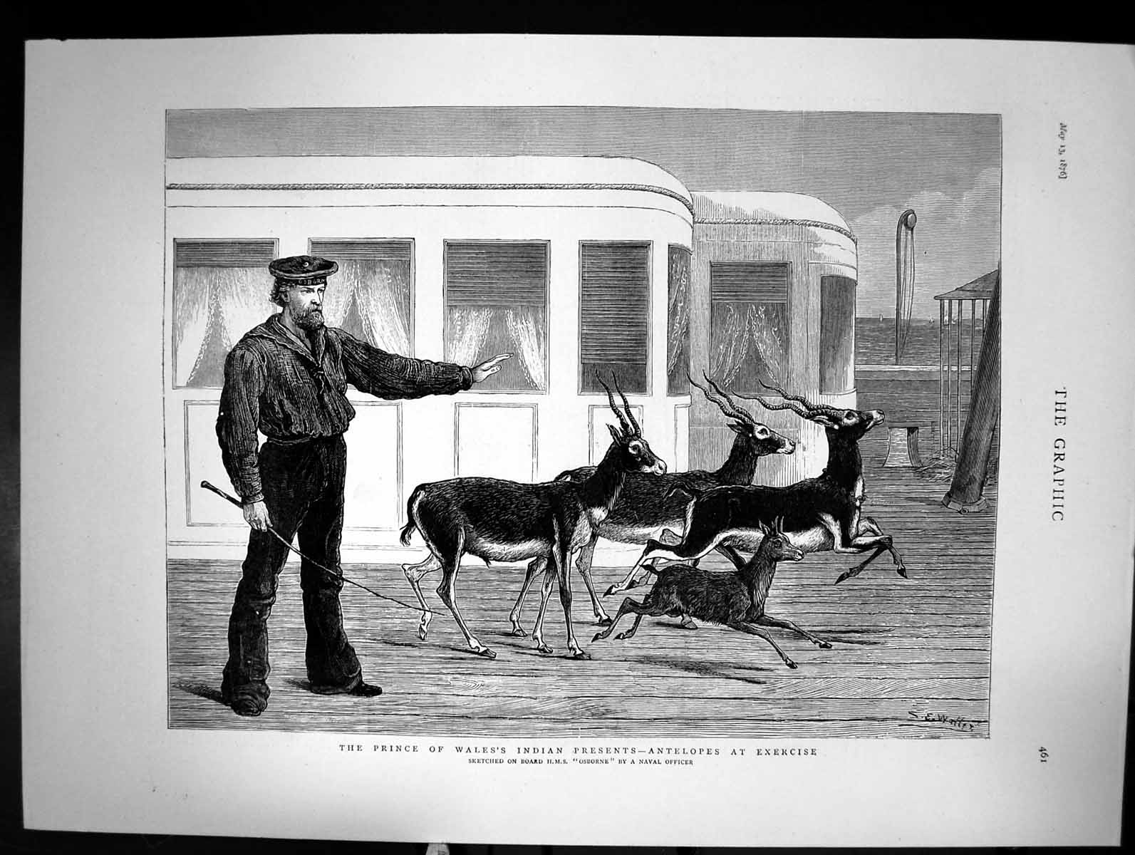 Antique Print The Prince Wales'S Indian Presents Antelopes At Exercise 1876
